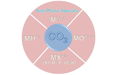 Activation of Carbon Dioxide by Gas-phase Metal Species 2011-3081